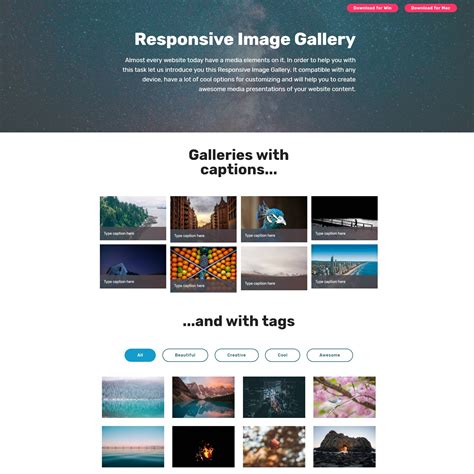 Image Gallery .